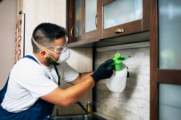Best Commercial Pest Control Services  in Joppatowne, MD