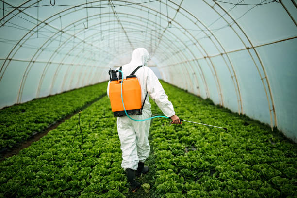 Best Affordable Pest Control Services  in Joppatowne, MD
