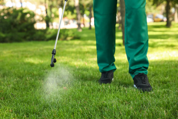 Professional Pest Control in Joppatowne, MD