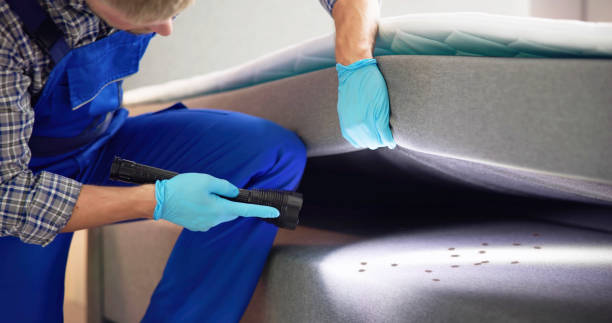 Best Best Pest Control Companies  in Joppatowne, MD