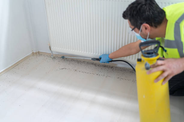 Best Insect Control  in Joppatowne, MD
